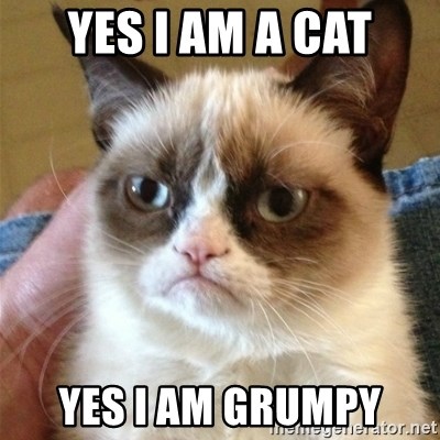 Grumpy Cat  - yes i am a cat yes i am grumpy
