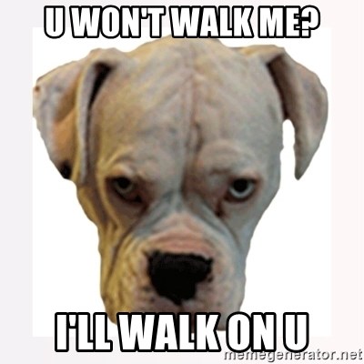 stahp guise - U WON'T WALK ME? I'LL WALK ON U