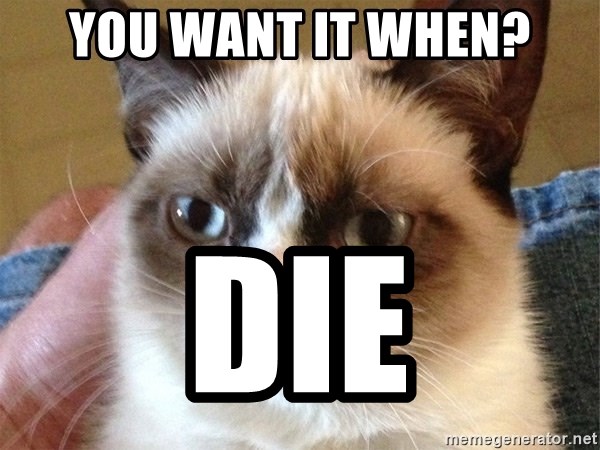 Angry Cat Meme - You Want it when? die