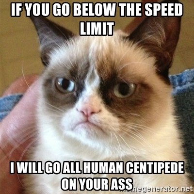 Grumpy Cat  - If you go below the speed limit I will go All Human Centipede on your ass