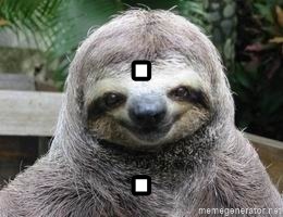 Sexual Sloth - . .