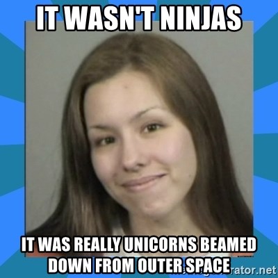 Jodi arias meme  - it wasn't ninjas it was really unicorns beamed down from outer space