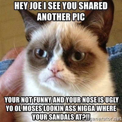 Grumpy Cat  - hey joe i see you shared another pic  your not funny and your nose is ugly yo ol moses lookin ass nigga where your sandals at?!!