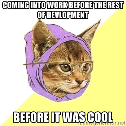 Hipster Kitty - Coming into work before the rest of devlopment before it was cool