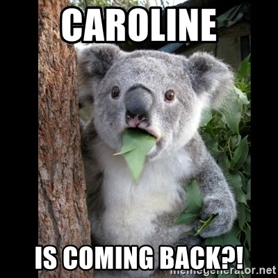 Koala can't believe it - caroline is coming back?!