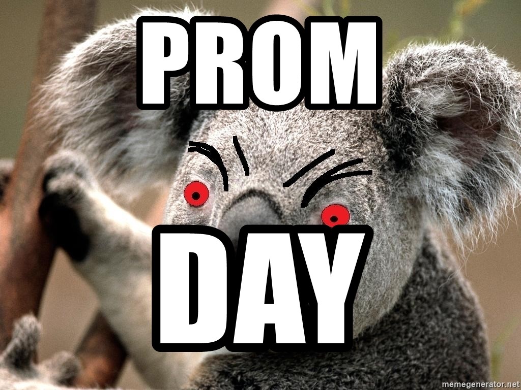 Abortion Koala - prom day