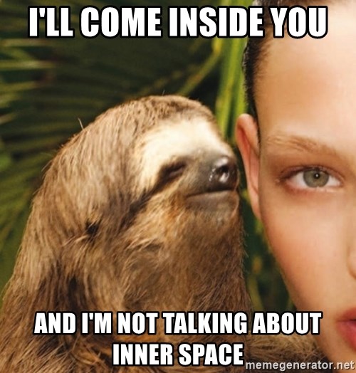 The Rape Sloth - i'll come inside you and i'm not talking about inner space