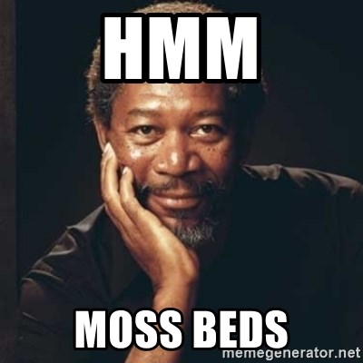 Morgan Freeman - hmm moss beds
