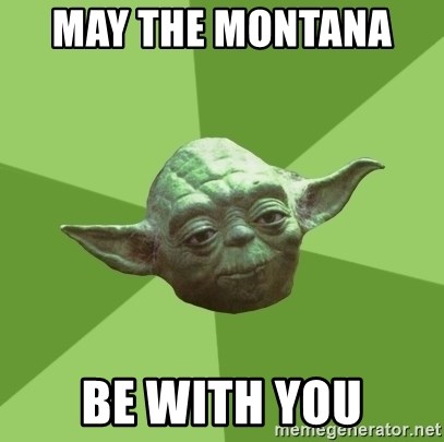 Advice Yoda Gives - May the montana   be with you