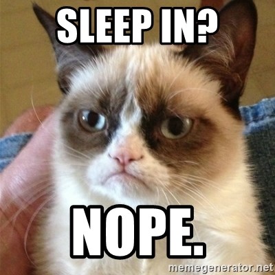 Grumpy Cat  - Sleep in? NOPE.