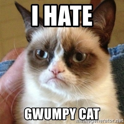 Grumpy Cat  - i hate gwumpy cat