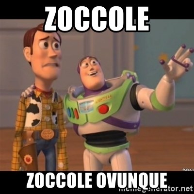 Buzz lightyear meme fixd - ZOCCOLE ZOCCOLE OVUNQUE