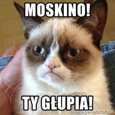 Grumpy Cat  - Moskino! TY głupia!