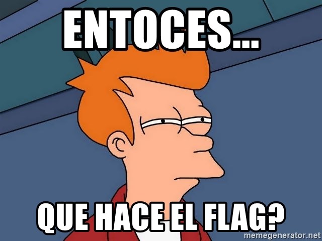 Futurama Fry - Entoces... que hace el flag?