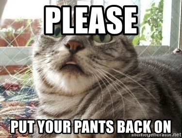 scared cat - PLEASE PUT YOUR PANTS BACK ON