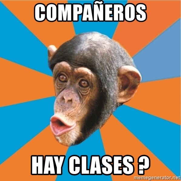 Stupid Monkey - COMPAÑEROS HAY CLASES ?