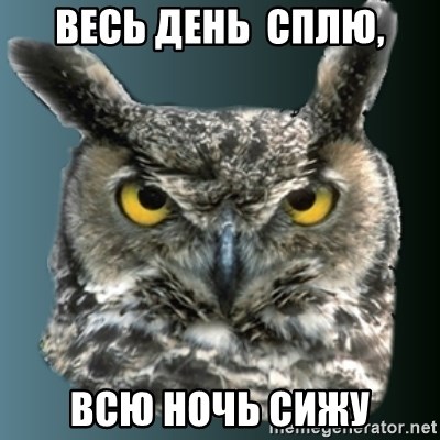 sleepy owl - весь день  сплю, всю ночь сижу