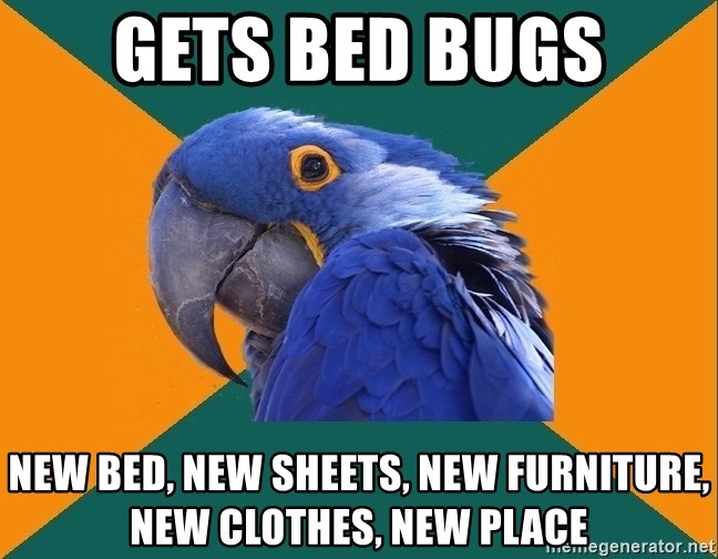 Paranoid Parrot - Gets bed bugs New bed, new sheets, new furniture, new clothes, new place