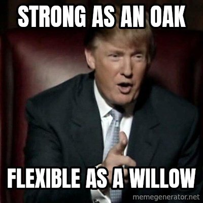 Strong As An Oak Flexible As A Willow Donald Trump Meme Generator Some types of wood, such as oak, are twice as strong as an equal mass of soft steel and aluminum. meme generator