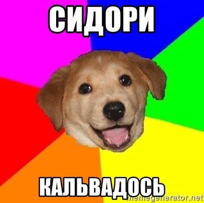 Advice Dog - Сидори Кальвадось