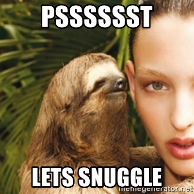 sexy sloth - psssssst lets snuggle