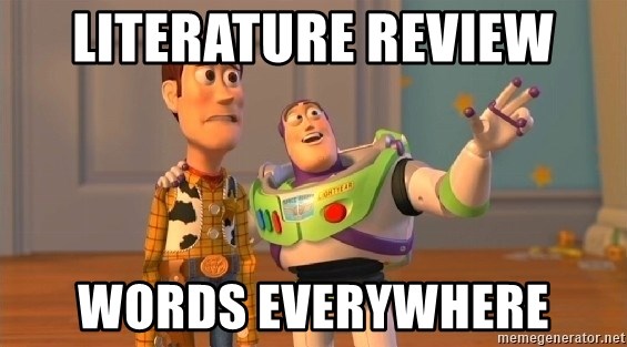 Woody & Buzz... Everywhere - literature review words everywhere