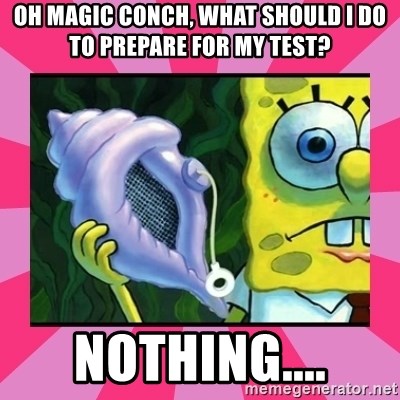 magic conch shell - Oh magic conch, what should i do to prepare for my test? Nothing....