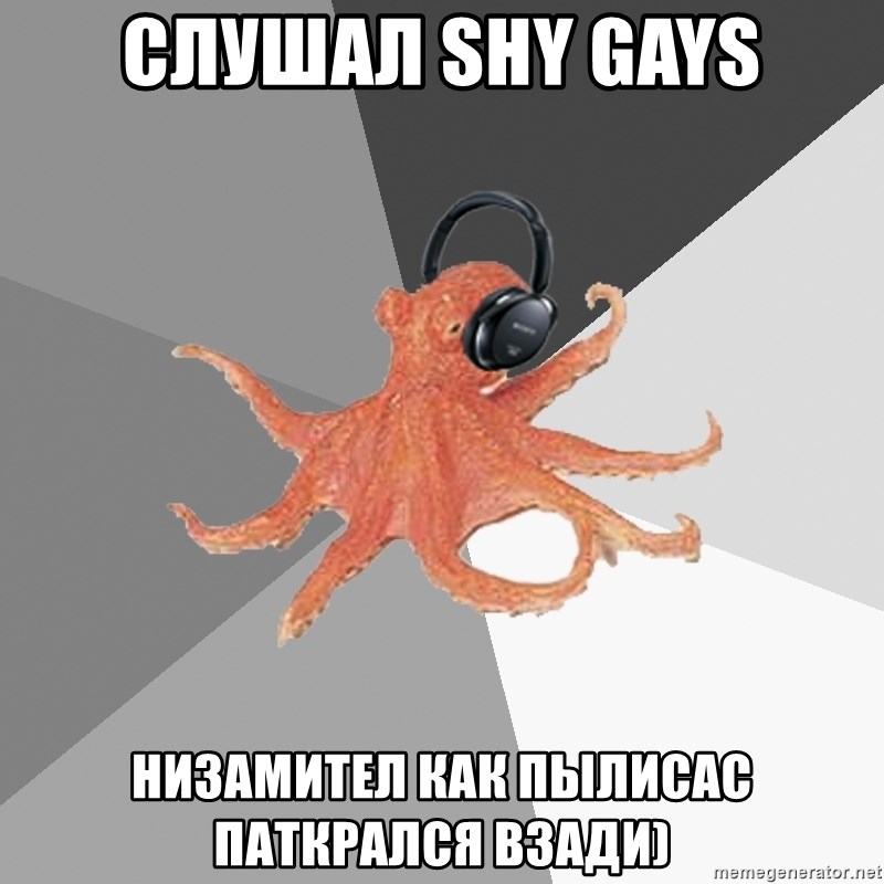 Musicnerdoctopus - слушал shy gays низамител как пылисас паткрался взади)