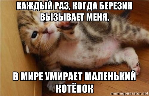 fallen kitten - каждый раз, когда березин вызывает меня, в мире умирает маленький котёнок