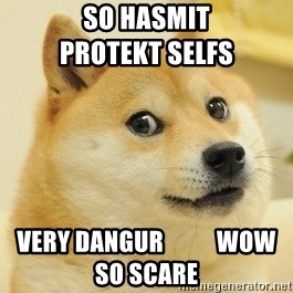 Dogeeeee - so hasmit                                                 protekt selfs very dangur           wow      so scare
