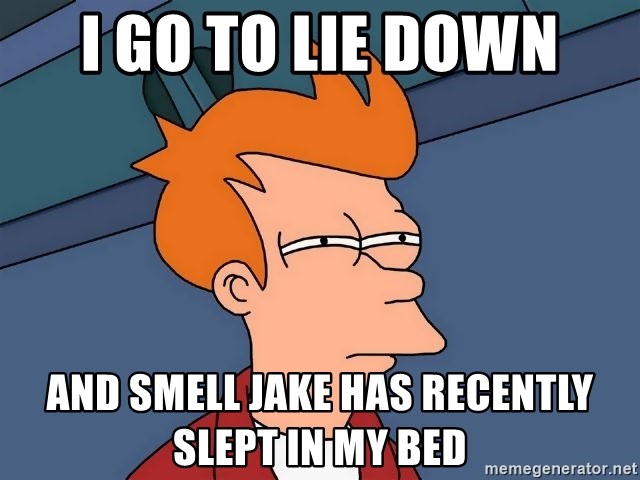 Futurama Fry - I go to lie down And smell jake has recently slept in my bed