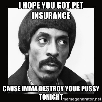 Sir Ike Turner  - I hope you got pet insurance  Cause imma destroy your pussy tonight