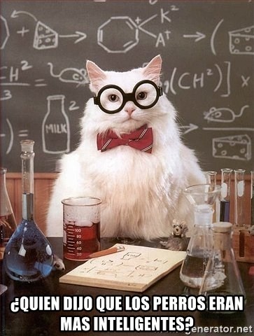 Chemistry Cat - ¿quien dijo que los perros eran mas inteligentes?