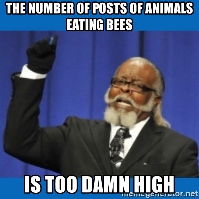 Too damn high - The number of posts of animals eating bees is too damn high
