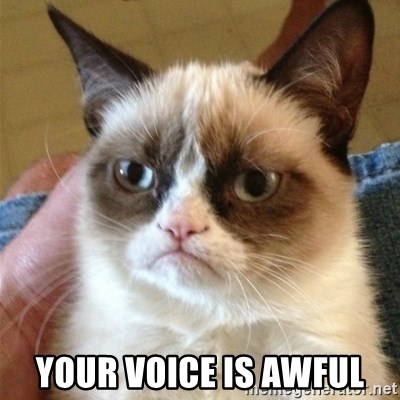 Grumpy Cat  - Your Voice IS AWFUL