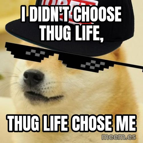 i-didnt-choose-thug-life-thug-life-chose-me.jpg