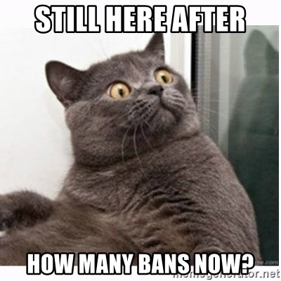 Conspiracy cat - Still here after how many bans now?