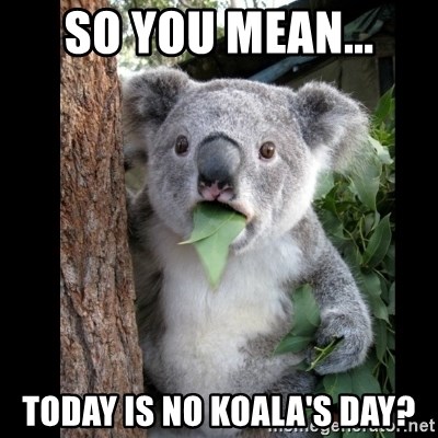 Koala can't believe it - So you mean... Today is no Koala's day?