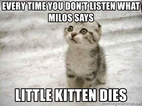 Little Grey Cat Know Your Meme