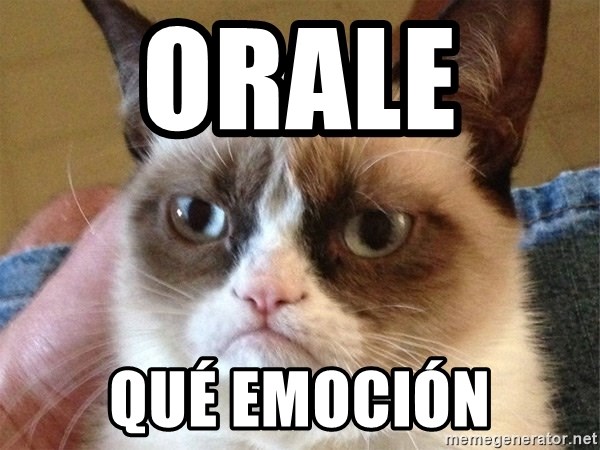 Angry Cat Meme - orale   qué emoción