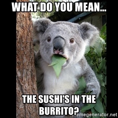 Koala can't believe it - what do you mean... the sushi's in the burrito?