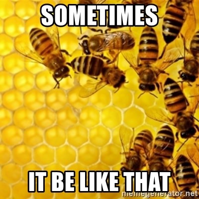 Honeybees - Sometimes it be like that