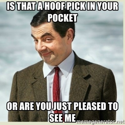 MR bean - Is that a hoof pick in your pocket or are you just pleased to see me