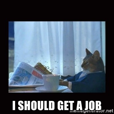 i should buy a boat cat - I should get a job