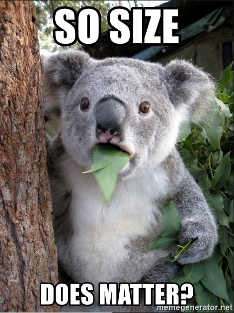 So Size Does matter? - Koala wow | Meme Generator