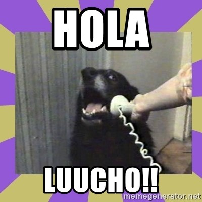 Yes, this is dog! - hola  luucho!!