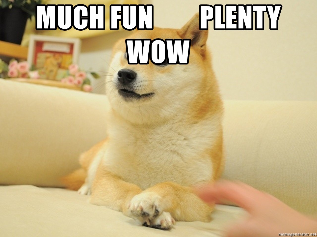 much fun plenty wow - so doge | Meme Generator