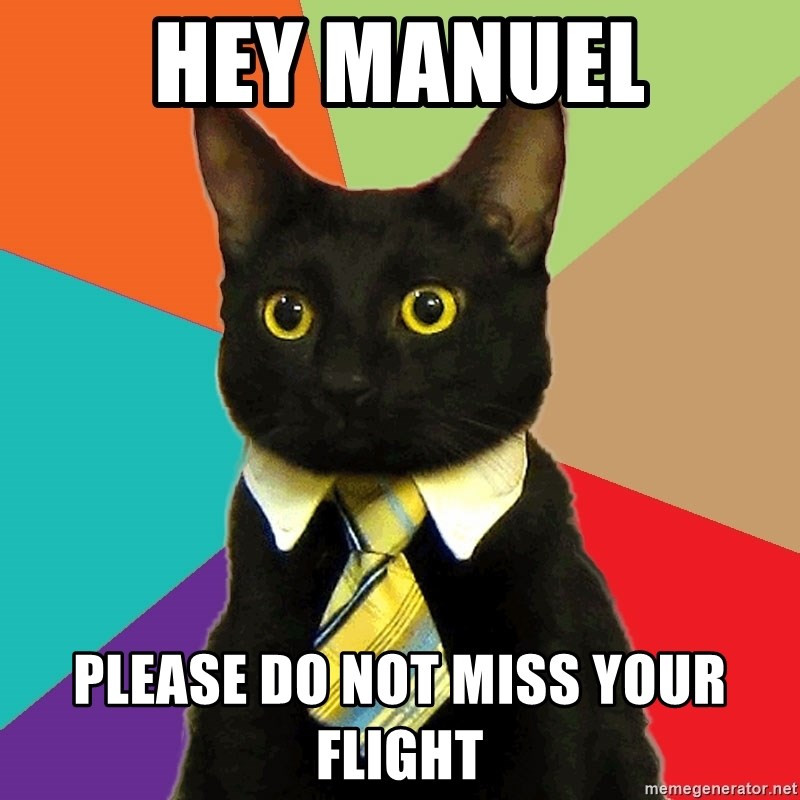 Business Cat - hey manuel please do not miss your flight