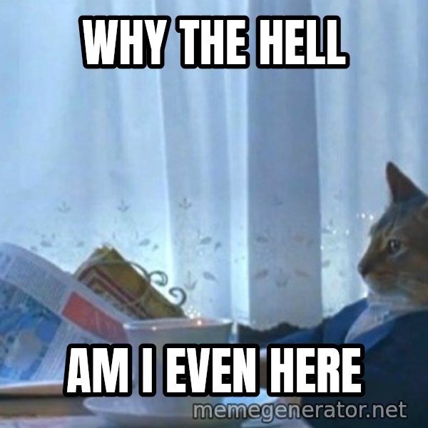 Why The Hell Am I Even Here Newspaper Cat Realization Meme Generator