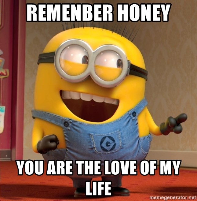 dave le minion - remenber honey  you are the love of my life